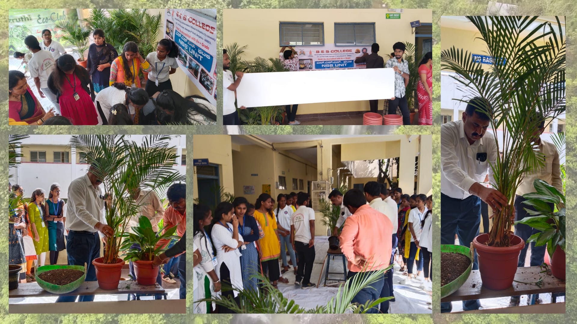 compostinggardeningrepotting-of-plants