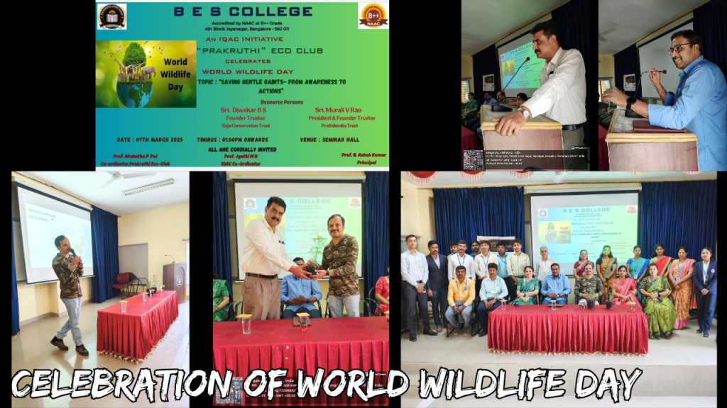 2025_20250621_125445_0005